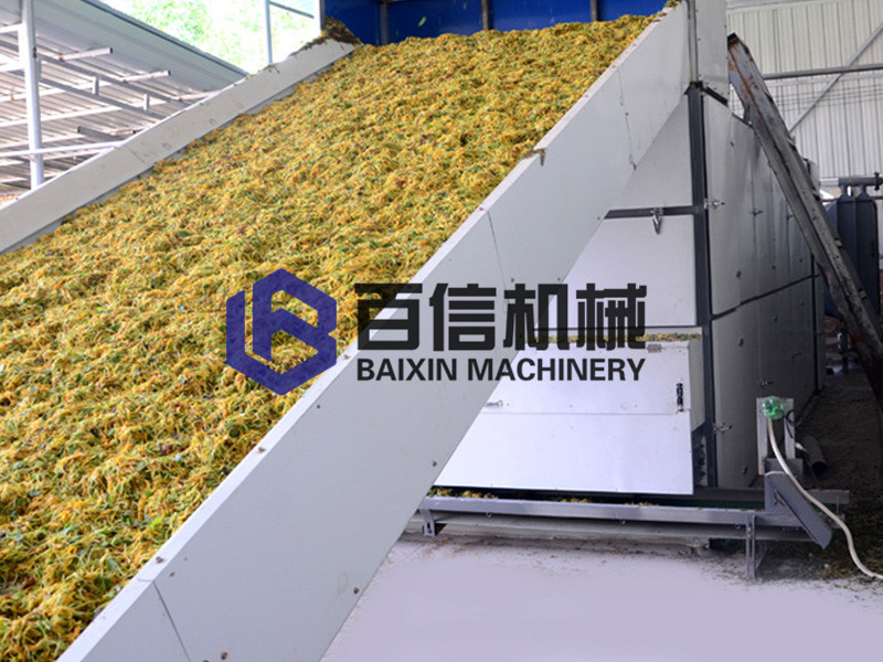 桑葚?zé)岜煤娓杉夹g(shù)在廣東的應(yīng)用與品牌建設(shè)
